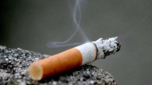 Kompanitë e duhanit në Spanjë do të detyrohen të paguajnë për mbledhjen cigareve nga toka