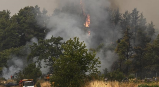 Greqi, gati 3 milionë hektarë të djegura nga zjarret në 20 vitet e fundit