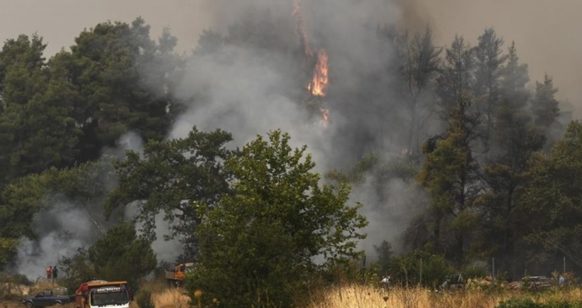 Greqi, gati 3 milionë hektarë të djegura nga zjarret në 20 vitet e fundit