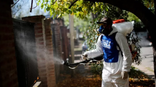 Virusi dengue “pushton” Argjentinën, 40 të vdekur dhe mbi 60 mijë të infektuar