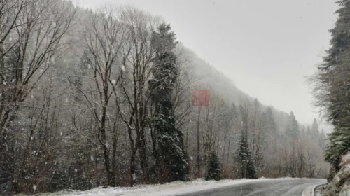 Shembje të shpeshta në rrugët e Dibrës, në Mavrovë bie borë