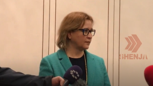 (VIDEO) Gërkovska: Transformimi digjital është jetik për funksionimin e institucioneve