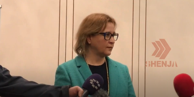 (VIDEO) Gërkovska: Transformimi digjital është jetik për funksionimin e institucioneve