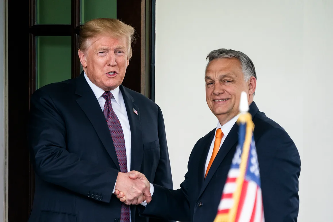 Orban mbështet Trump-in: Mos u dorëzo kurrë