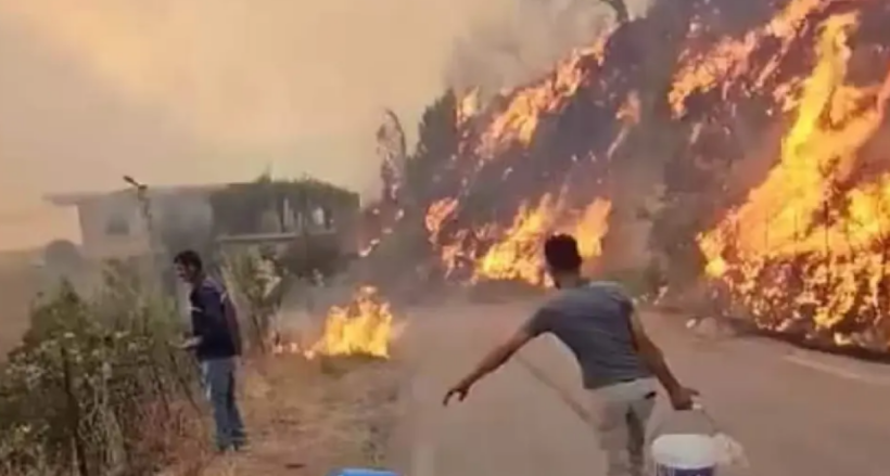 Zjarret katastrofike në Algjeri, humbin jetën 34 persona