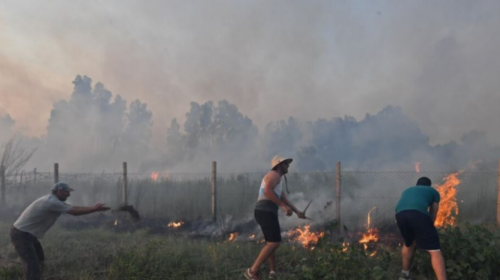 Të paktën 25 persona humbën jetën nga zjarret në Algjeri