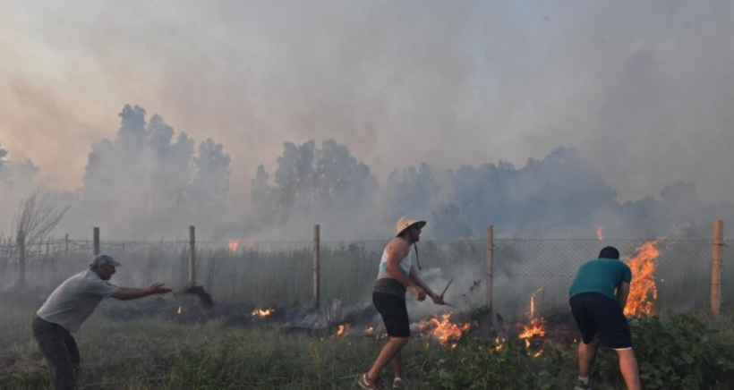 Të paktën 25 persona humbën jetën nga zjarret në Algjeri