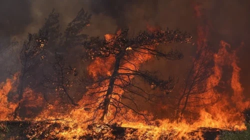 Greqia nën flakë të reja, lëshohen urdhra për evakuime