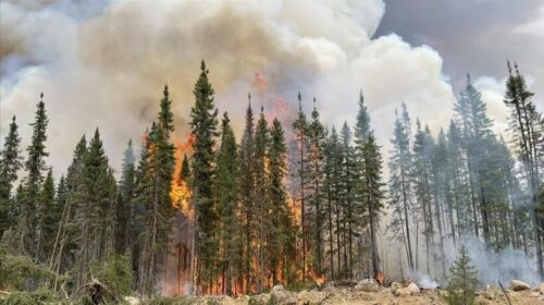 Kanada, gjatë shuarjes së zjarreve pyjore humbën jetën 3 zjarrfikës