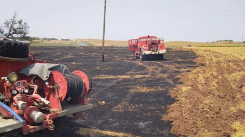 Disa zjarre mbrëmë në rajonin e Kumanovës