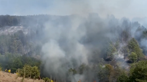 (VIDEO) Për 20 ditë, 37 zjarre në rajonin e Kumanovës