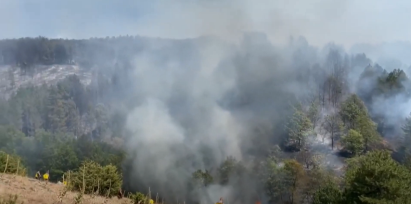 (VIDEO) Për 20 ditë, 37 zjarre në rajonin e Kumanovës