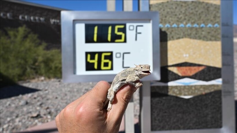 Temperaturat ekstreme prekën 190 milionë njerëz në SHBA