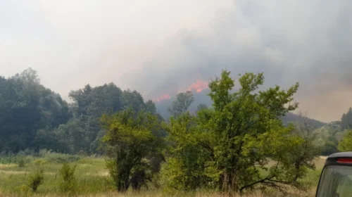 (VIDEO) Lokalizohen të 29 zjarret që shpërthyen të premten