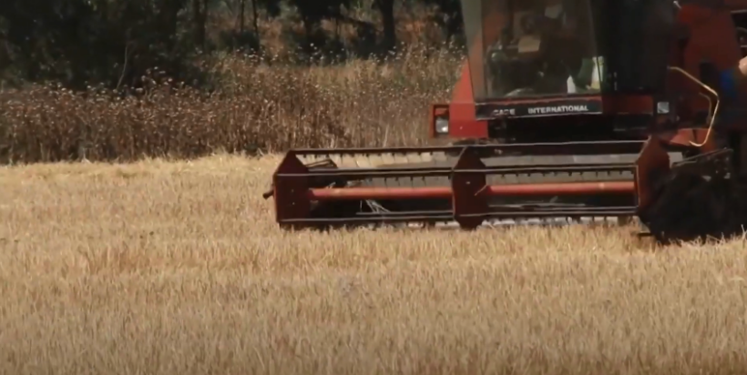 (VIDEO) Hyrja në BE hap treg mbi 500 milionë euro për tregun e prodhimeve bujqësore