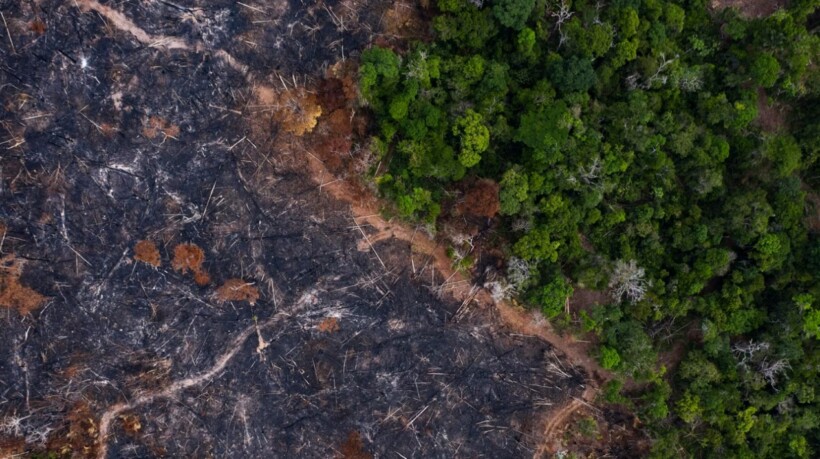 Shtetet e Amazonës kërkojnë veprime urgjente për ndryshimet klimatike