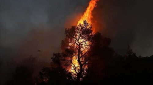 BE: Situata e fatkeqësive klimatike në Evropë në gjendje alarmante