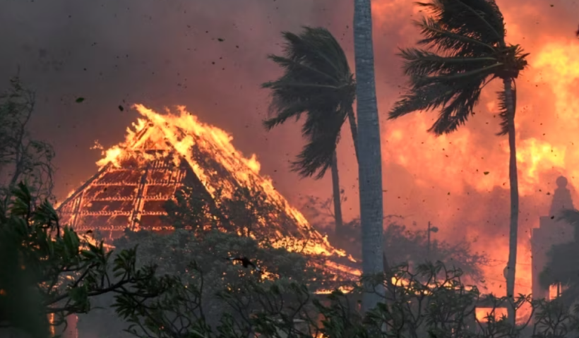 Të paktën 36 të vdekur nga zjarret në Havai