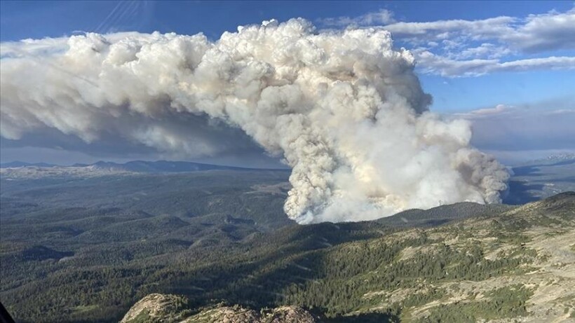 Zjarret në Kanada djegin mbi 13 milionë hektarë pyje