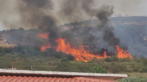 23 të arrestuar për zjarrvënie të qëllimshme në Shqipëri