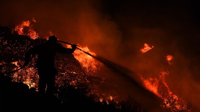 Greqi, në zonën pyjore u gjetën 18 trupa të pajetë