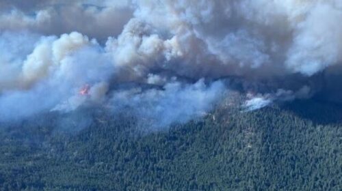 Zjarret, provinca kanadeze British Columbia shpall gjendje të jashtëzakonshme