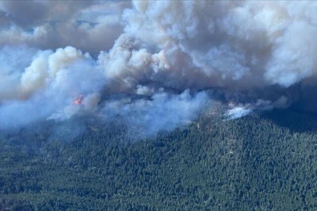 Zjarret, provinca kanadeze British Columbia shpall gjendje të jashtëzakonshme