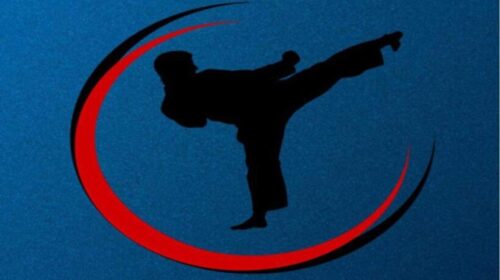 Turneu i 20-të ndërkombëtar në karate “Tetova Open 2023”