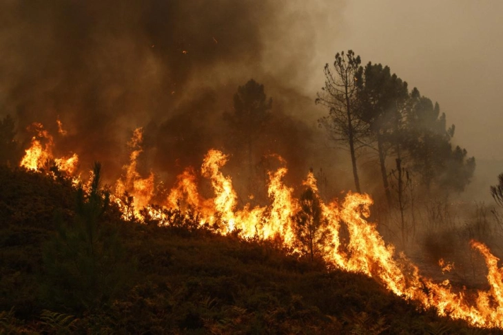 Janë lokalizuar flakët e zjarrit në afërsi të fshatit Dollgaec, janë hedhur mbi 25 tonë ujë