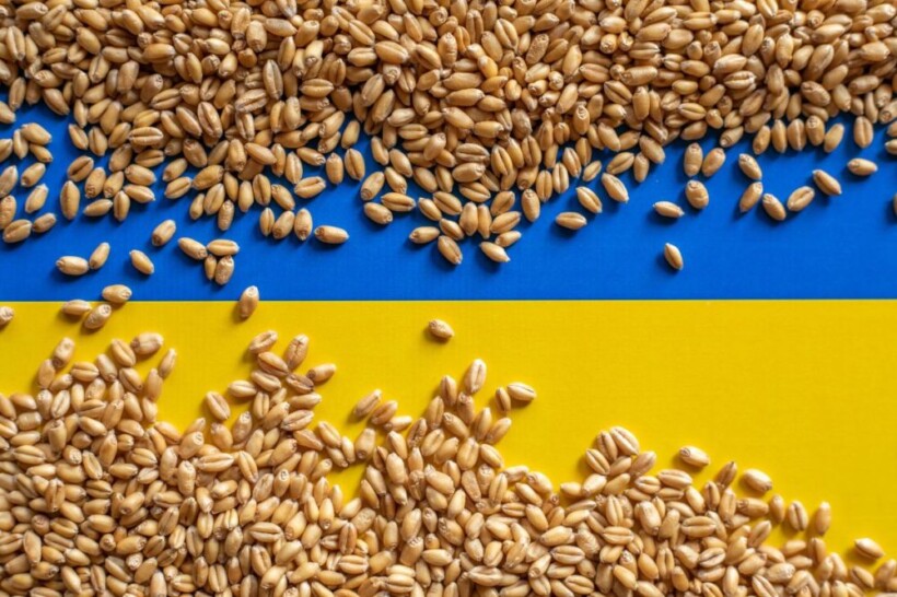BE-ja kërkon zgjidhje për eksportin e grurit të Ukrainës