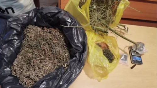 Bastisje në Vollkovë, sekuestrohet drogë, arrestohet një diler