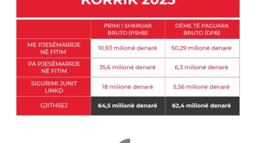 AMS: Për vetëm një muaj qytetarët arkëtuan një milion euro nga sigurimet e jetëss