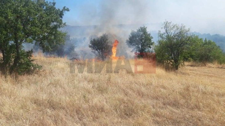 Disa zjarre në rajonin e Kumanovës