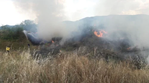 (VIDEO) 24 orët e fundit janë regjistruar tetë zjarre në ambiente të jashtme