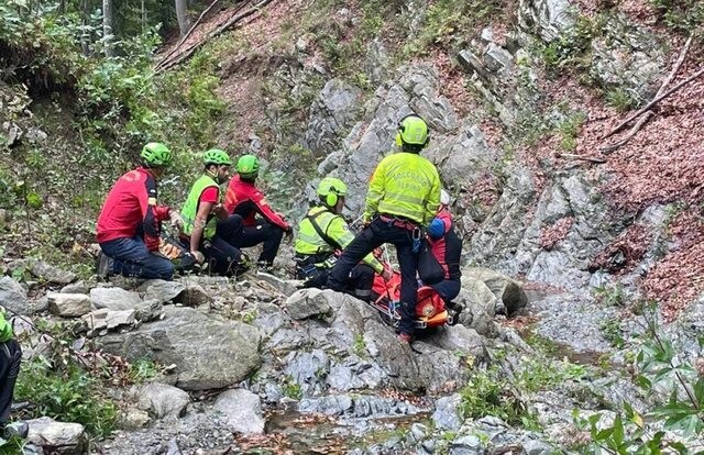 Shqiptari në Itali bie nga 50 metra lartësi, humb jetën duke mbledhur kërpudha