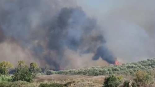 Janë shuar 20 zjarre gjatë fundjavës në Maqedoni, sot nuk ka zjarre aktive