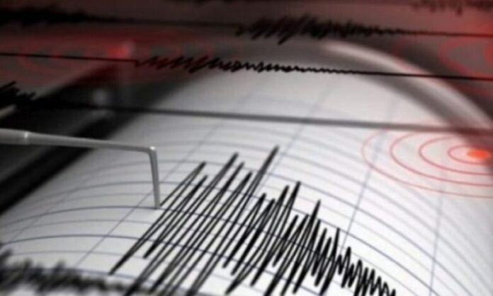 Ndjehet tërmet në rajonin e Vinicës