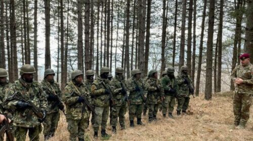 Stërvitje e përbashkët e ushtrisë së Kosovës dhe asaj të Shqipërisë