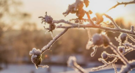 Nesër mot i qëndrueshëm, gjatë fundjavës borë