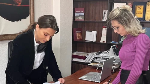Besa Dauti është emëruar drejtoreshë e re e Galerisë së Arteve – Tetovë