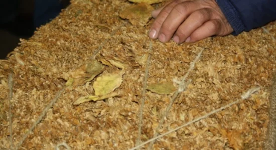 Risteski: Blerja e duhanit përfundoi më shpejt se sa pritej