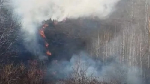 (VIDEO) Zjarri në Malin Sharr vazhdon të përhapet, kërkohet mbështetje urgjente nga ajri