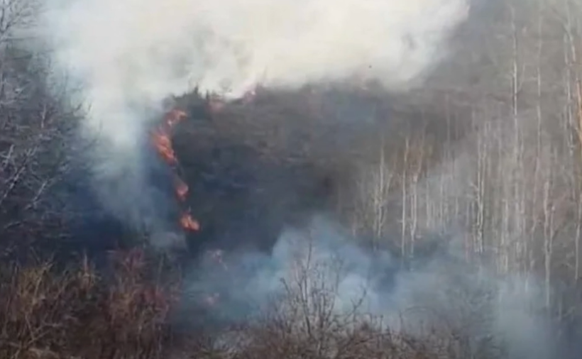 (VIDEO) Zjarri në Malin Sharr vazhdon të përhapet, kërkohet mbështetje urgjente nga ajri