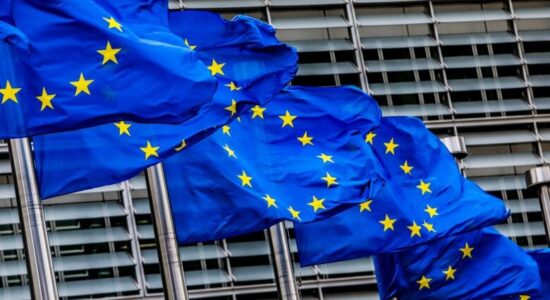 (VIDEO) Zgjedhjet në RMV, BE: Forcat politike ta mbështesin rrugën evropiane të RMV-së