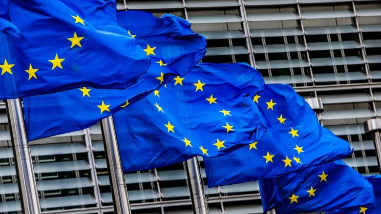(VIDEO) Zgjedhjet në RMV, BE: Forcat politike ta mbështesin rrugën evropiane të RMV-së