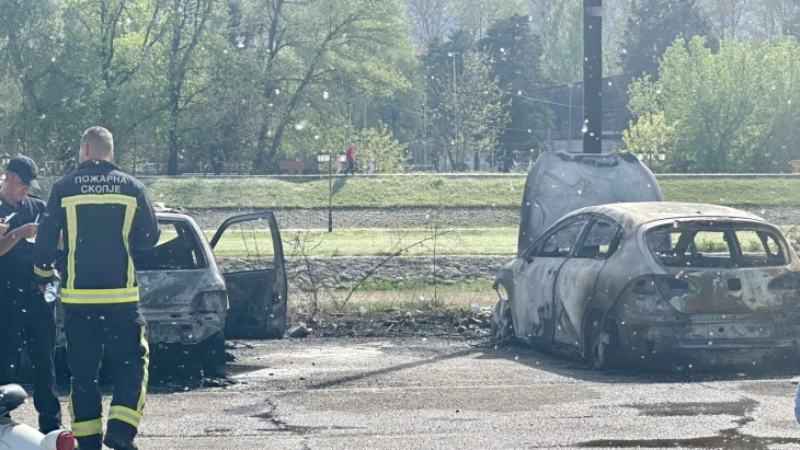 Shuhet zjarri afër Kalasë së Shkupit, digjen pesë automjete