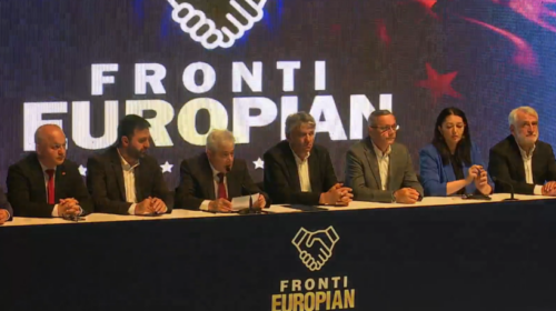 (VIDEO) Fronti Evropian miratoi Deklaratën Politike mbi legjitimitetin etnik që buron nga zgjedhjet