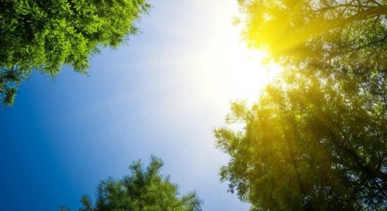(VIDEO) Moti parashikohet të jetë me diell dhe i ngrohtë deri në 36 gradë Celsius