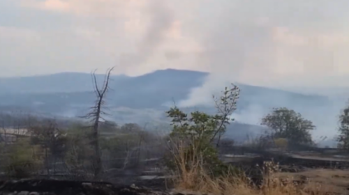 (VIDEO) Nga gjithsej 29 zjarre në ambiente të hapura në 24 orët e fundit, shtatë janë ende aktiv