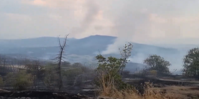 (VIDEO) Nga gjithsej 29 zjarre në ambiente të hapura në 24 orët e fundit, shtatë janë ende aktiv